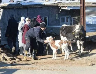 Depremde hayvanları telef olan vatandaşlara destek