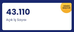 İŞKUR’dan on binlerce kişilik iş ilanı geldi! Giyimden, yemeğe, gıdadan, hizmete... İşte kadrolar-2