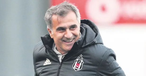 Yeni Beşiktas geliyor