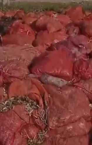 Çirkin planları ellerinde patlayan fırsatçılar tonlarca soğanı çürümeye bıraktı