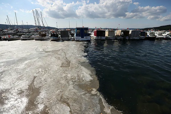 Marmara Denizi deniz salyası işgalinde! İşte müsilajdan kurtulmanın 4 maddelik reçetesi!-4