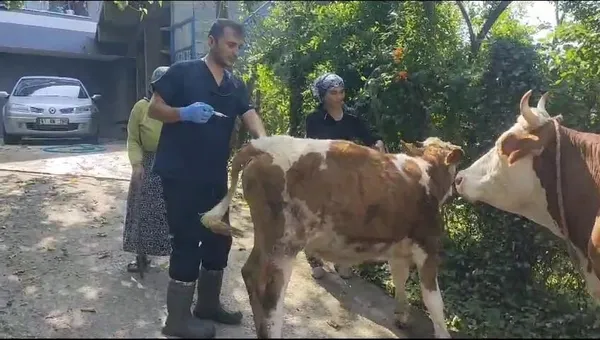 1688718624588.jpeg Zonguldak'ta 120 köy karantina ve gözetim altına alındı!-2