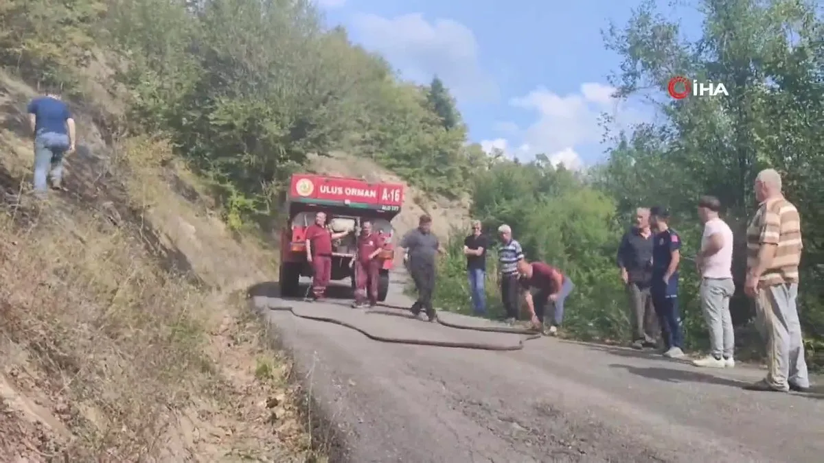 Bartın’da orman yangını!