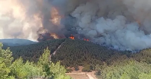 Foça'da orman yangınına havadan 11 uçakla müdahale