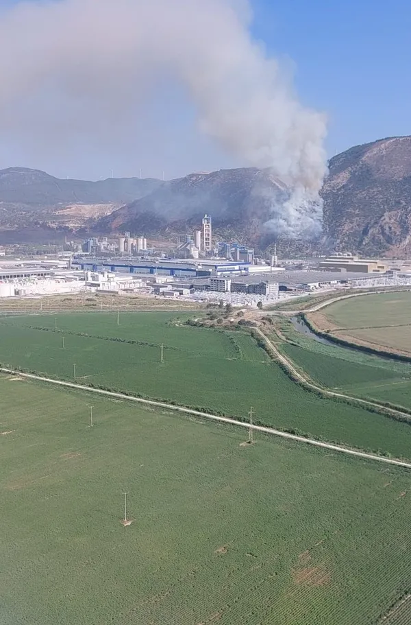 Aydın'da orman ve makilik alanda yangın çıktı-2