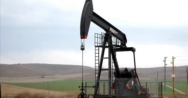 O rapor ortaya çıktı! Petrol talebi 2020'de...