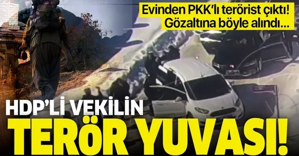 HDP Van Milletvekili Murat Sarısaç’ın terör yuvası! Evinden PKK’lı terörist çıktı