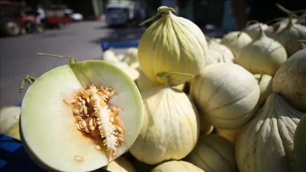 kavun-kabuklarini-sakin-atmayin-cope-atan-bin-pisman-oluyor-meger-kabugu-kendisinden-daha-faydaliymis-1695462960443.jpg Öyle bir etkisi ortaya çıktı ki dışı içinden daha faydalıymış! Kavun kabuklarını sakın çöpe atmayın!-6