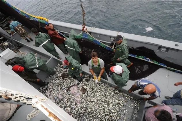 Balık avı sezonu umutla başlıyor