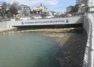 CHPli İmamoğlunun temizledik diye reklam yaptığı Kurbağalıderenin hali içler acısı