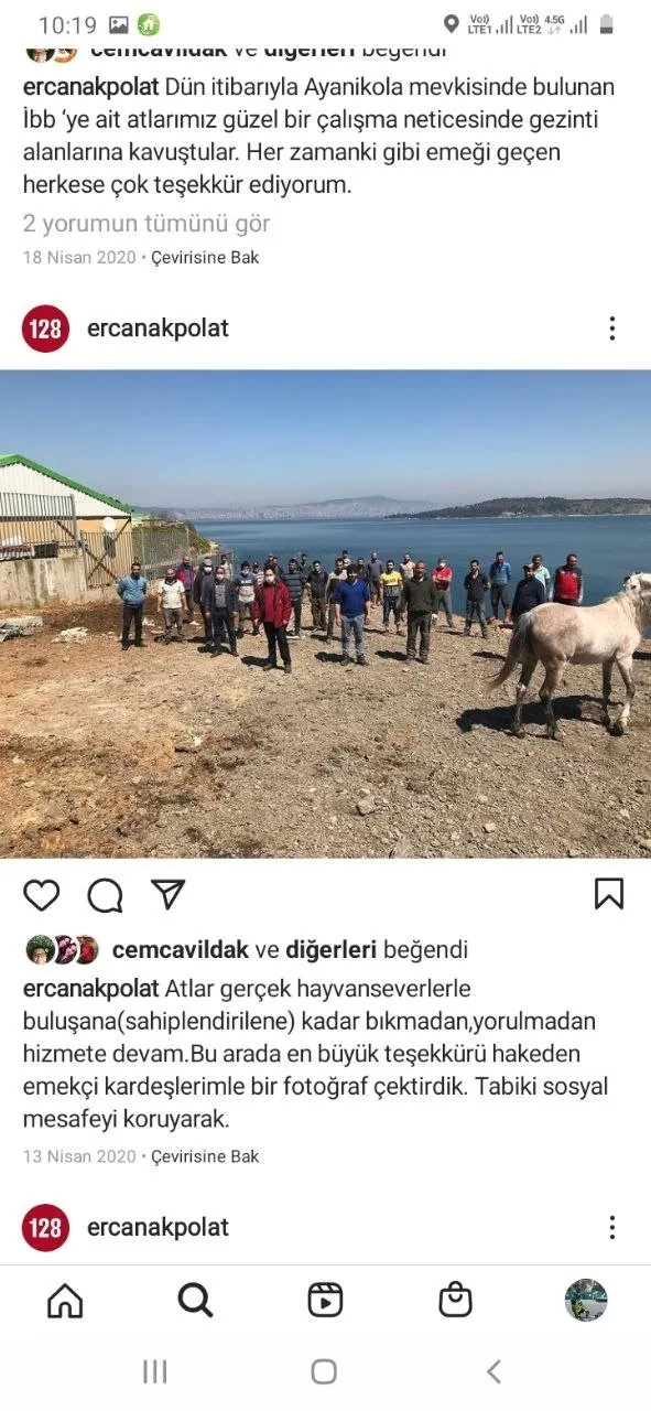 ibbnin-satin-aldigi-978-atin-kayip-oldugu-bu-atlardan-224unun-oldugu-aciklandi-cipler-her-seyi-ortaya-cikaracak-1620074201357.jpg