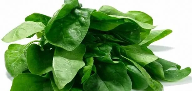 Ispanak sınav kazandırır