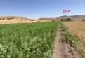 Lice'de uyuşturucu operasyonu!