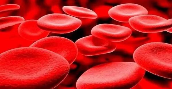 Talasemi hastalığı nedir, belirtileri nelerdir? 8 Mayıs Dünya Talasemi Günü'nde talasemi hastalarına önemli öneriler!-1