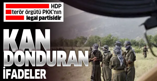PKK'nın elinden gençlerin anlattıkları kan dondurdu: HDP, terör örgütü PKK'nın legal partisidir