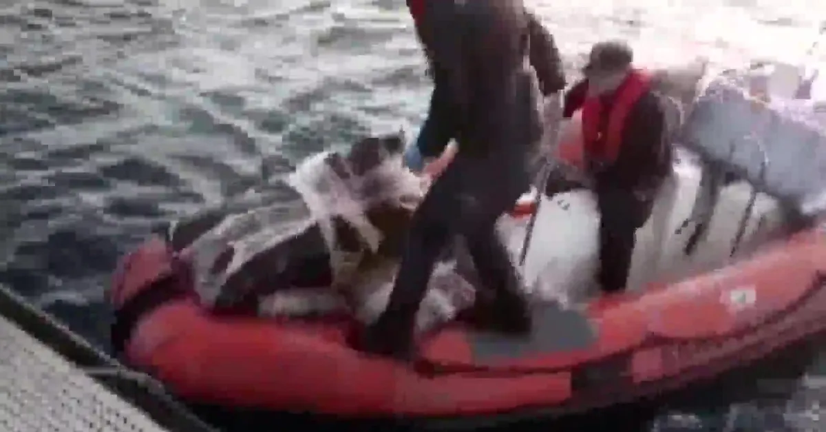 Batan tekneden 1,1 ton uyuşturucu çıktı