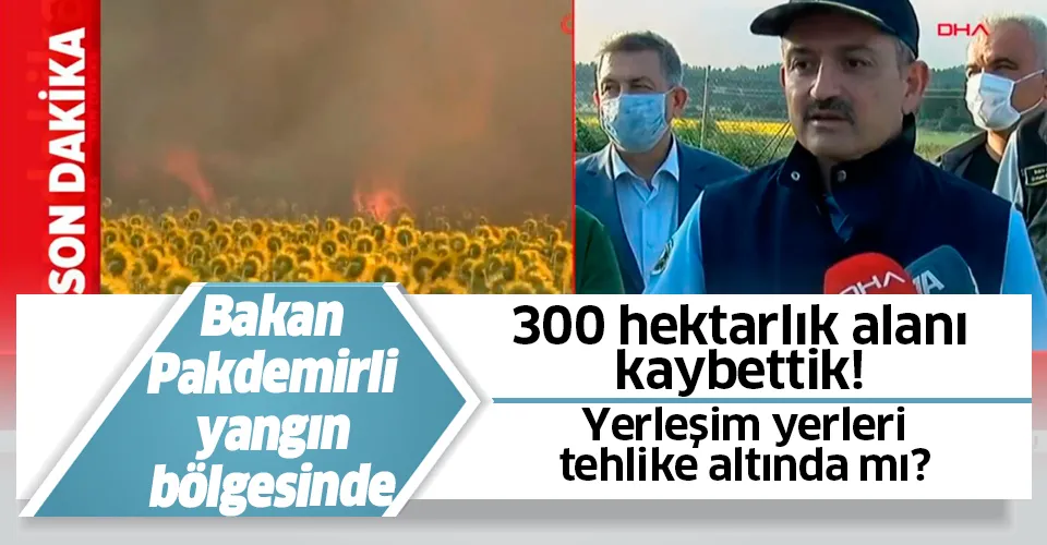 Son dakika: Bakan Pakdemirli'den Gelibolu'daki orman yangınına ilişkin açıklama