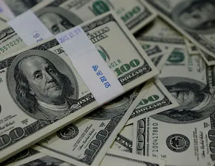 ABD'li firmadan hadsiz dolar tahmini! Merkez Bankası'na skandal faiz tehdidi