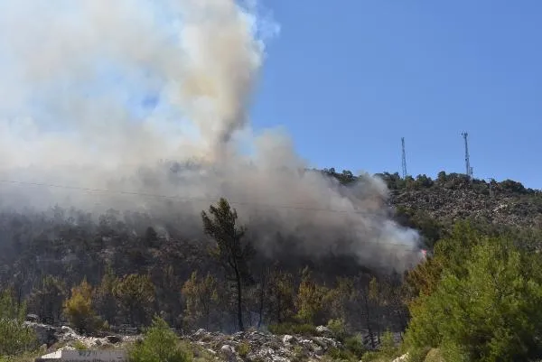 İzmir ve Alanya'da orman yangını-3