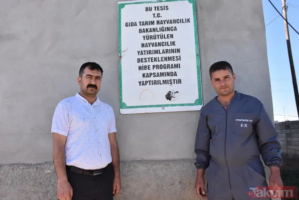 Devlet teşvikiyle 20 büyükbaş alarak çiftlik kurdu üretimi 2 yılda 10 katına çıkardı - 1