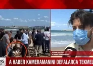 Sabah gazetesi yazarı Melih Altınoktan Şilede A Haber ekibine saldırıyı kınamayan Gazeteciler Cemiyeti ve İBBye sert tepki