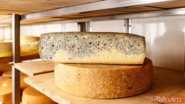 Dünyanın en iyi peynir üreten ülkeleri açıklandı: Türkiye listede kaçıncı sırada? - 4