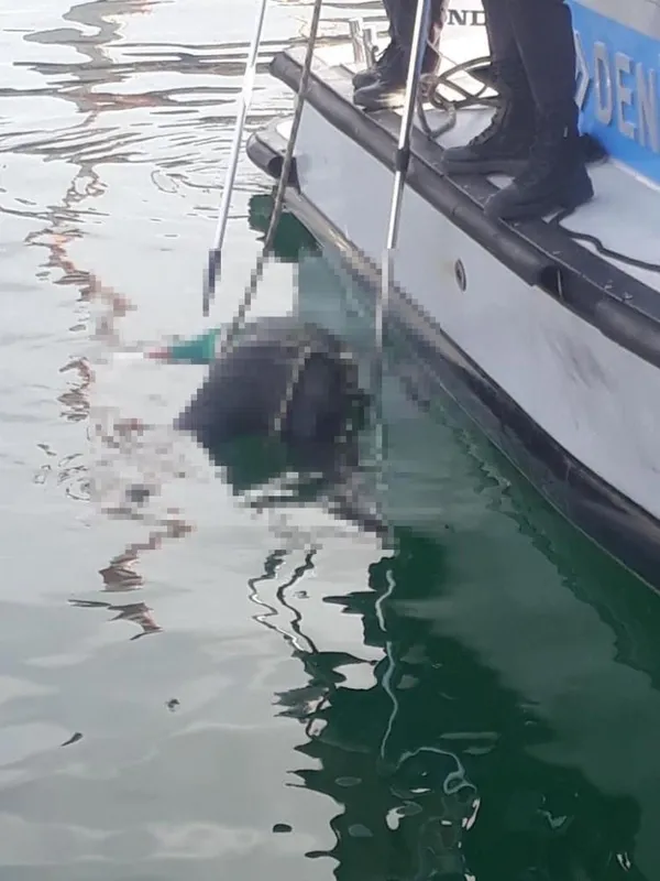 2-haftalik-ceset-denizden-cikarildi-1664268908755.jpg 2 haftalık ceset denizden çıkarıldı-4