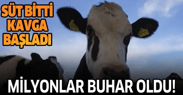120 milyon buhar oldu! Emekli ikramiyesini yatıran var