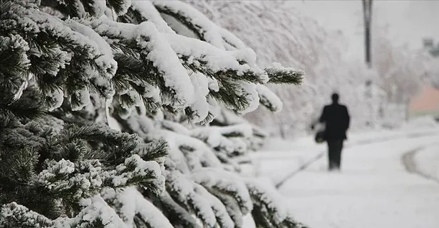 MGM son dakika: Kasım ayında kar var mı? ❄⛄Kar ne zaman yağacak, bekleniyor mu? 30 günlük hava durumu! İstanbul, Ankara, İzmir, Bursa...
