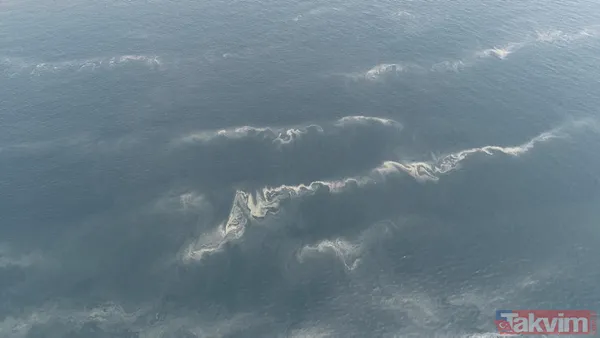 Müsilaj kabusu geri döndü! İstanbul'da müsilaj her geçen dakika artıyor - 17