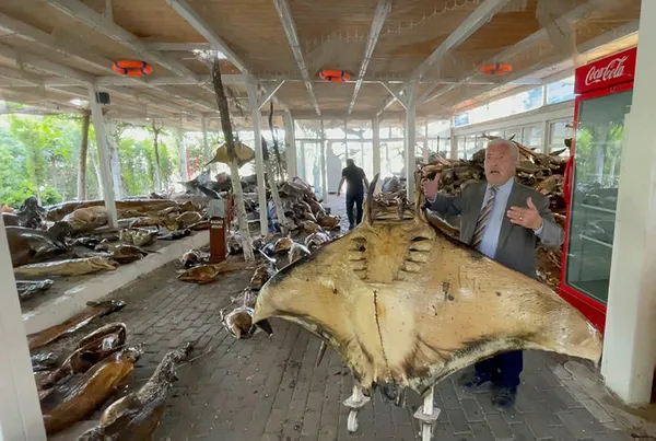 Beylikdüzü'nde katliam var! Türkiye Deniz Canlıları Müzesi'ni yıkan CHP'li belediye bu kez de 160 ağacı söktü!-6