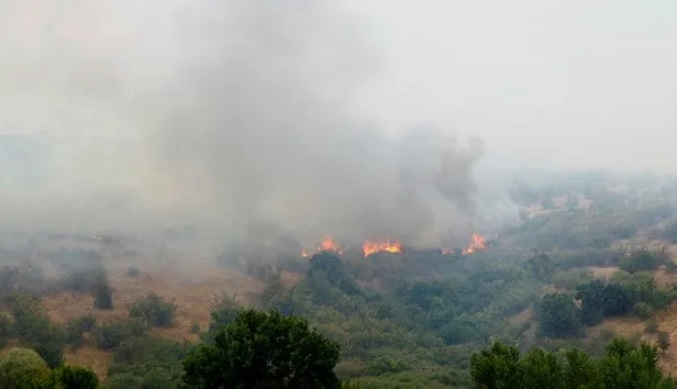 Son dakika: Bulgaristan-Türkiye sınırındaki 4 gündür süren yangın söndürüldü-1