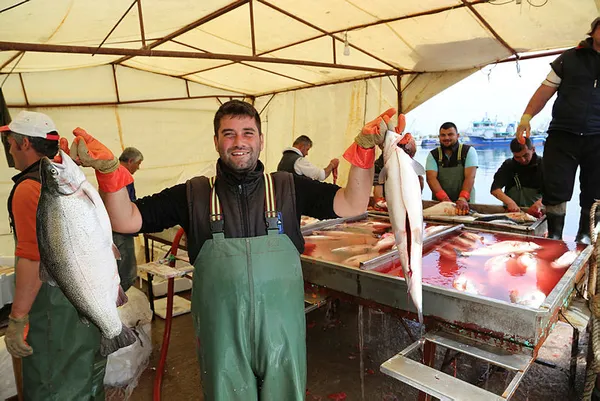 Dünya Ordu somonunun peşinde-3
