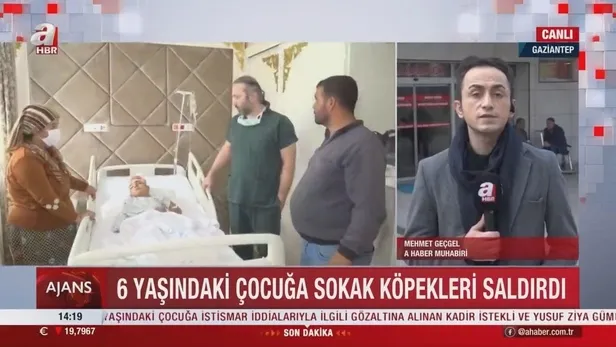 gaziantepin-nurdagindan-kan-donduran-olay-6-yasindaki-nihat-can-arslanin-sokak-kopeklerin-saldirisi-sonucu-kaf-1671134070409.jpeg 6 yaşındaki Nihat Can Arslan dehşeti yaşadı! Sokak köpeğinin saldırısı sonucu kafa derisi koptu-2