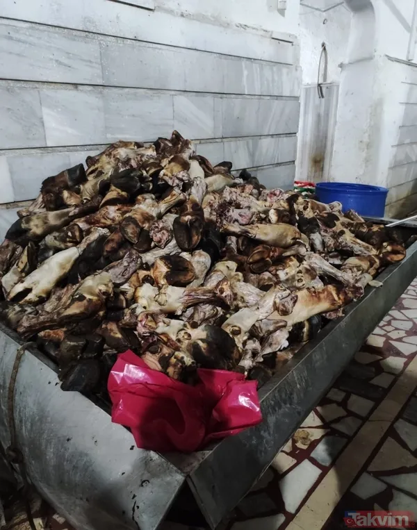 Pastırmasıyla meşhur Kayseri'de mide bulandıran görüntü! 5.5 ton sakatat imha edildi - 5