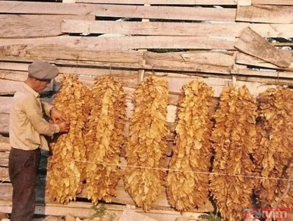 Bu yiyecekler beyne zarar veriyor! - 28