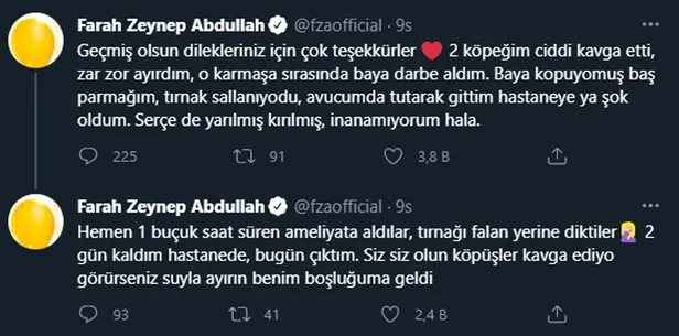 Masumlar Apartmanı'nın İnci'si Farah Zeynep Abdullah kavganın ortasında kaldı apar topar hastaneye kaldırıldı! Parmağı...-5