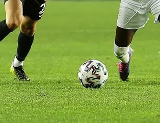 Devlerin Williams yarışı