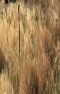 Gaziantep'e 2 havan mermisi düştü!