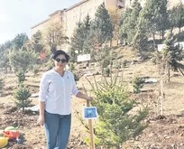 Evlat acısına dayanamayan anne mezarda kalp krizi geçirerek hayatını kaybetti