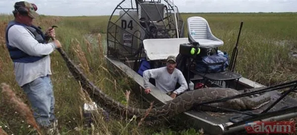Duvarın içinden gelen seslerden ilallah etti sonunda paramparça etti! Gördükleri karşısında kalbi yerinden çıkacaktı - 37