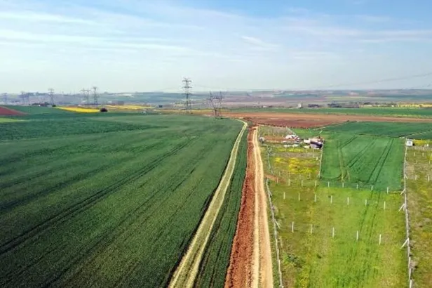 Tekirdağ'da kaçak geçişlere yönelik tarlalarda motosikletli denetim-4