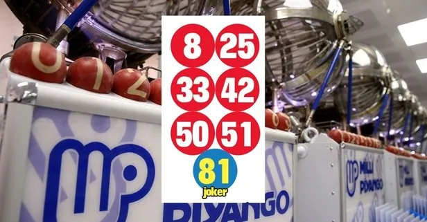 Çılgın Sayısal Loto belli oldu! 262 milyon devretti