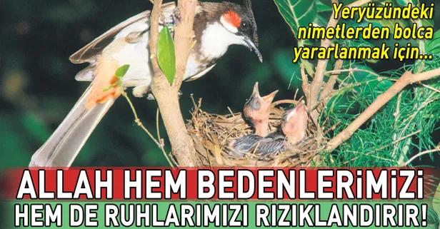 Allah hem bedenlerimizi hem de ruhlarımızı rızıklandırır