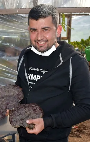 Ölümsüzlük mantarı buldu! Kilosu 2 bin lira