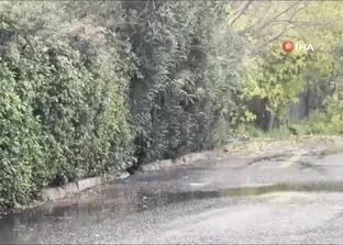 İstanbul’da kar yağışı başladı