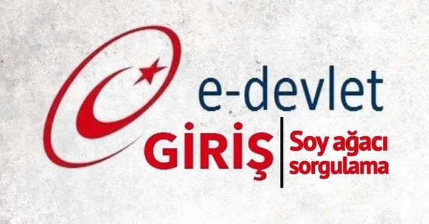 E Devlet soy sorgulama nasıl yapılır? Soyağacı sorgulama işlemi için tıklayın...-1