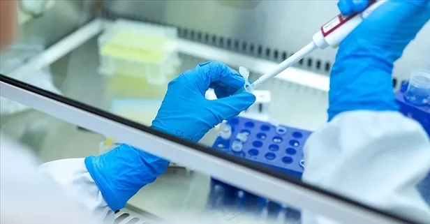 Uzmanı çağın vebası kanserle mücadelede merak edilen soruları yanıtladı!