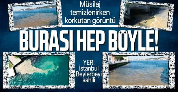 Marmara Denizi’nde deniz salyası temizleme çalışması devam ederken İstanbul Beylerbeyi sahili kahverengi oldu