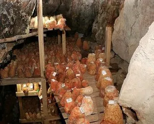 Mağarada saklanıyor! Karaman’da Divle Obruk...
